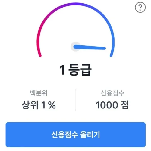 대출 이자를 아끼기 위한 신용점수 올리기 등급표 확인